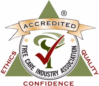 tcia-accreditation