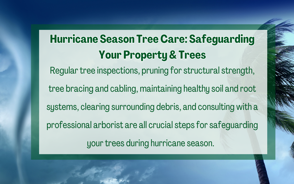 Hurricane Season Tree Care