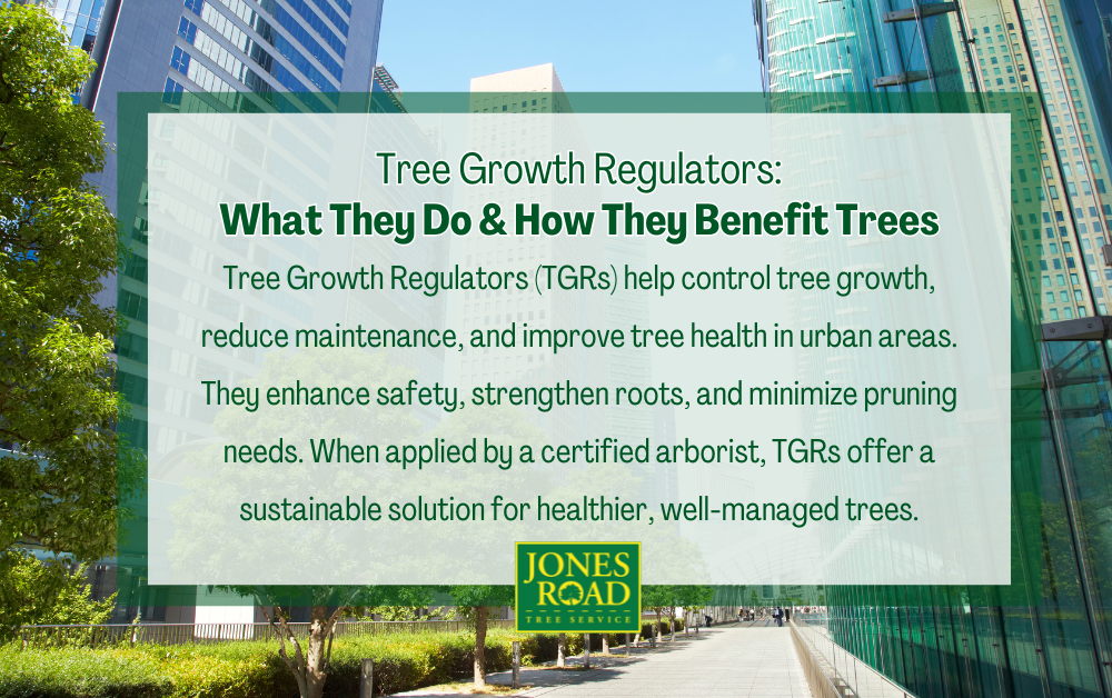 Tree Growth Regulators Infographic