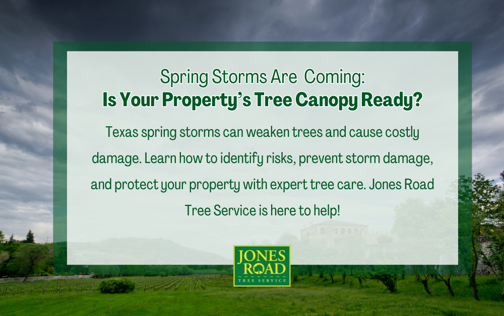 Spring Storms Infographic