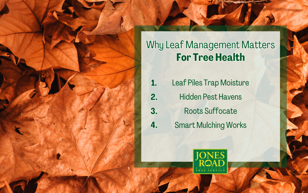 Why Leaf Management Matters for Tree Health Infographic